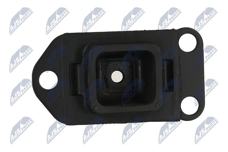 Paigutus, Mootor, NTY ZPS-NS-130