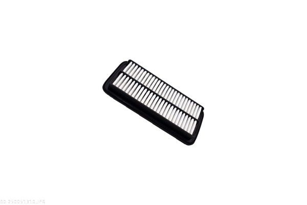AUTOMEGA 250051310 Air Filter