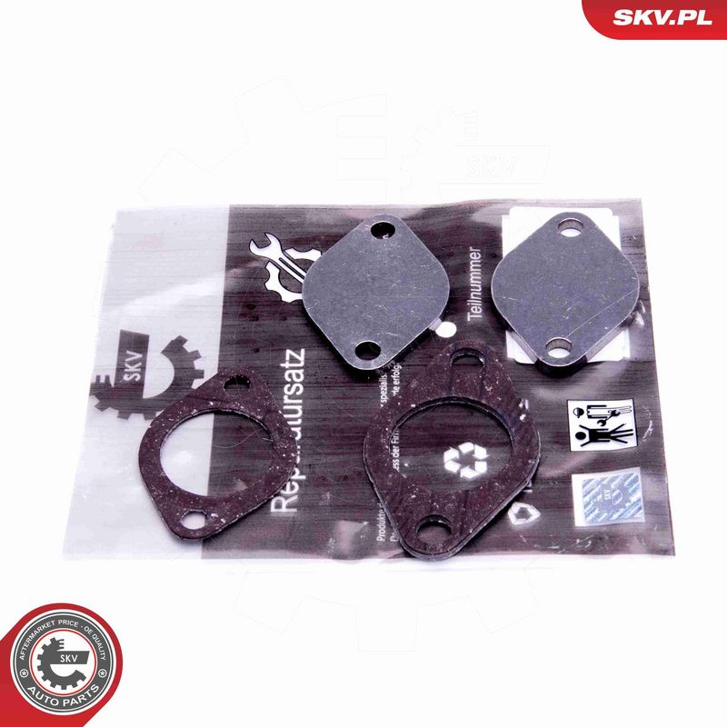 Set de reparație, supapă AGR ESEN SKV 14SKV562