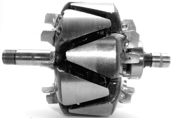 A-1175.JPG