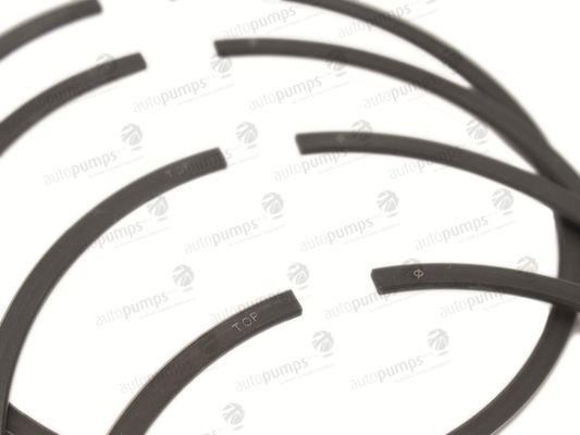 Autopumps UK A2050 Piston Ring Set