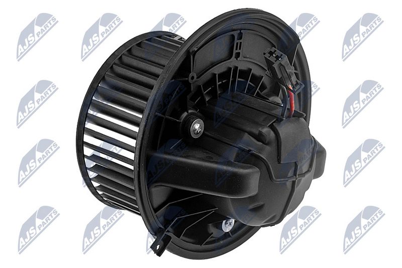 Salongipuhur, NTY EWN-ME-011