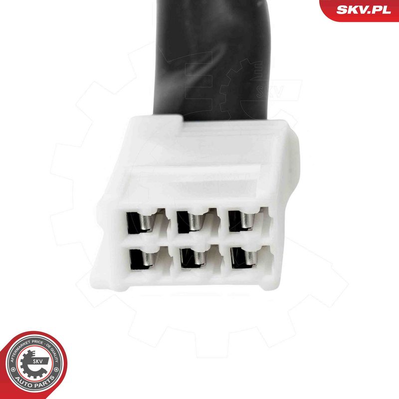 ESEN SKV 52SKV262 Electric Motor, tailgate