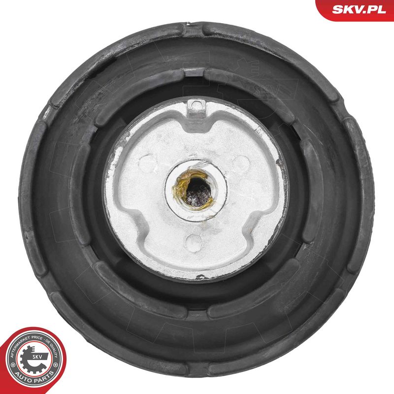 Paigutus, Mootor, ESEN SKV 75SKV002