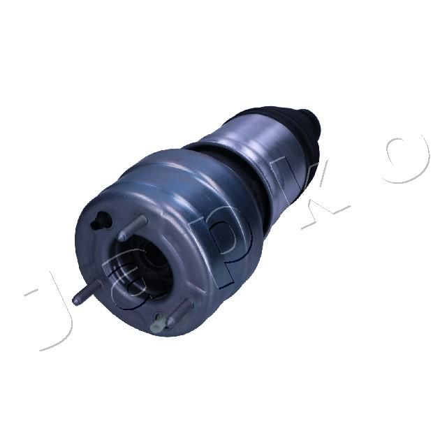 MJAS223_1.JPG