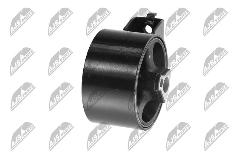 Paigutus, Mootor, NTY ZPS-CH-054