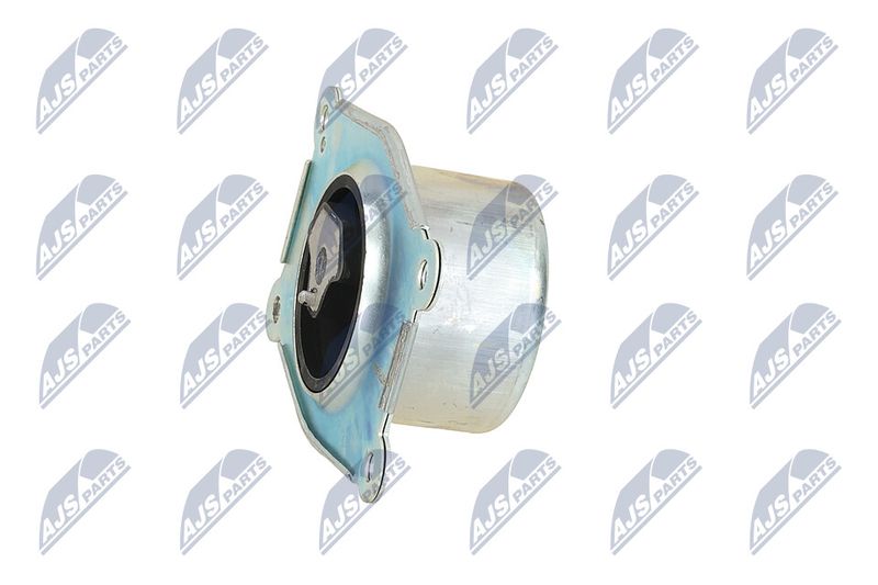 Paigutus, Mootor, NTY ZPS-PL-044