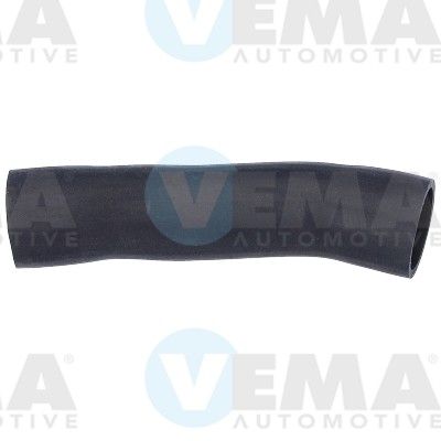VE55861.JPG