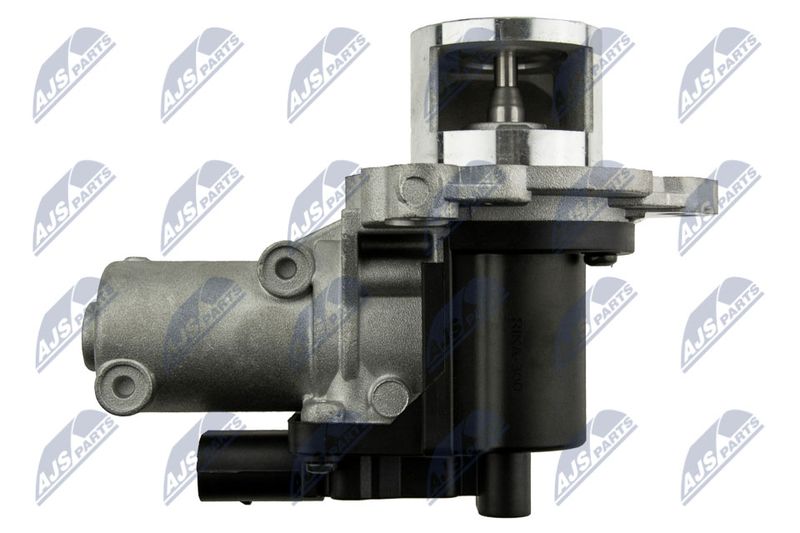EGR-KA-300_3-WM.JPG