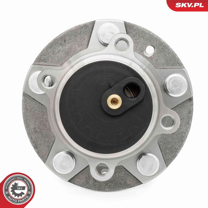 ESEN SKV 29SKV620 Wheel Bearing Kit