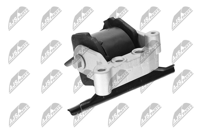 Paigutus, Mootor, NTY ZPS-CH-071