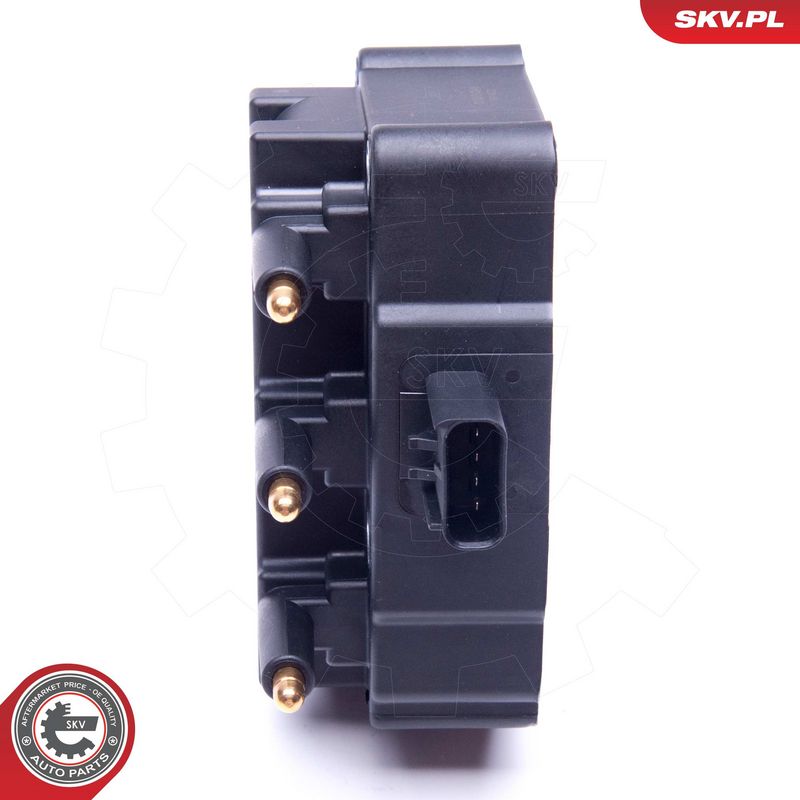 Süütepool, ESEN SKV 03SKV248