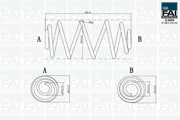 FAI Autoparts Suspension Spring FPCS122