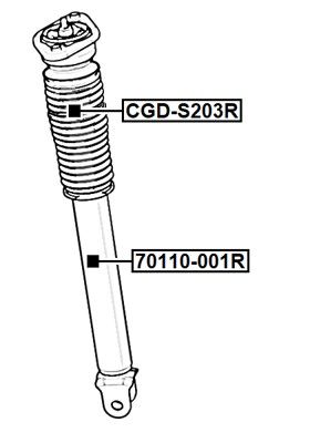CGD-S203R_1.JPG