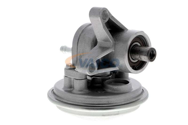 VAICO V25-1908 Mounting, engine