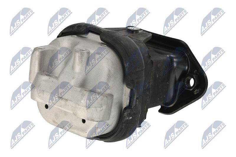 Paigutus, Mootor, NTY ZPS-CH-116