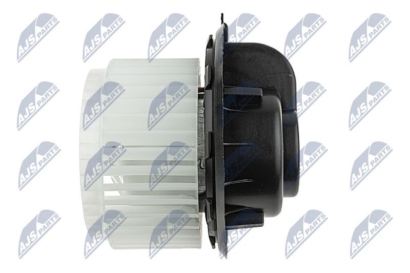 Salongipuhur, NTY EWN-WW-010