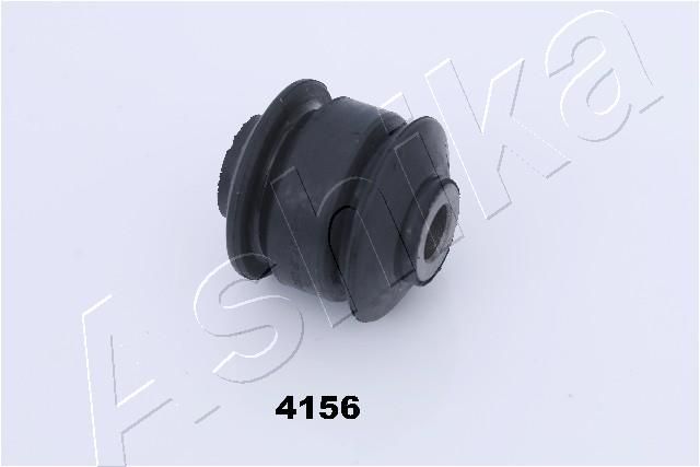 GOM-4156_1.JPG