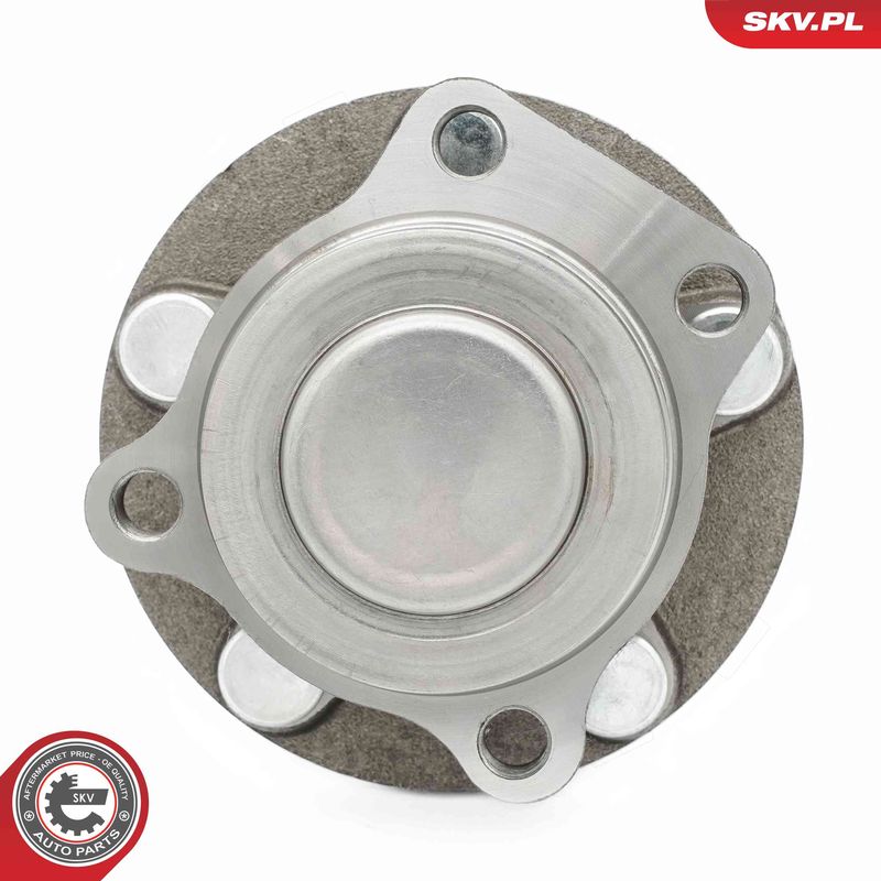 ESEN SKV 29SKV642 Wheel Bearing Kit