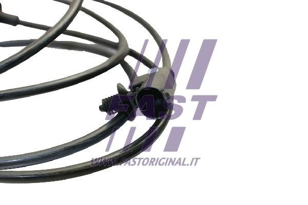 FT80418_2_1.JPG