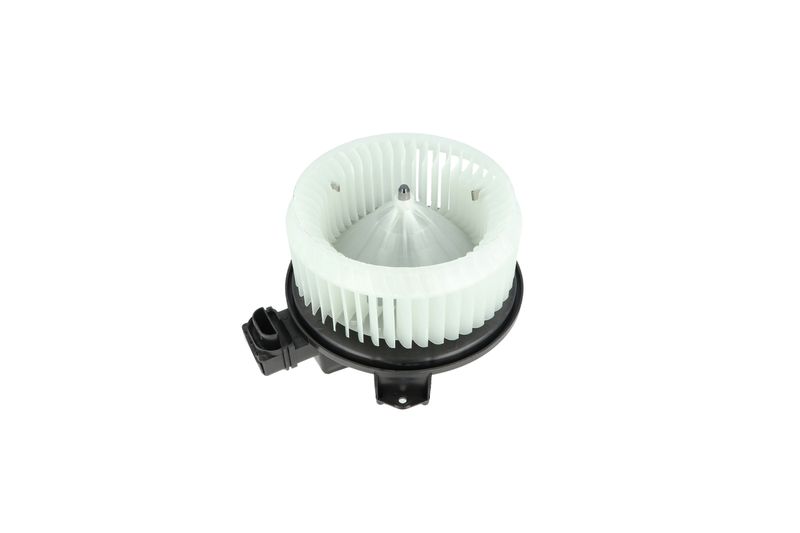 Salongipuhur, NRF 34244