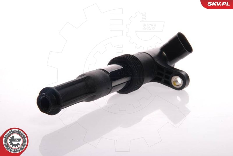 ESEN SKV 03SKV046 Ignition Coil