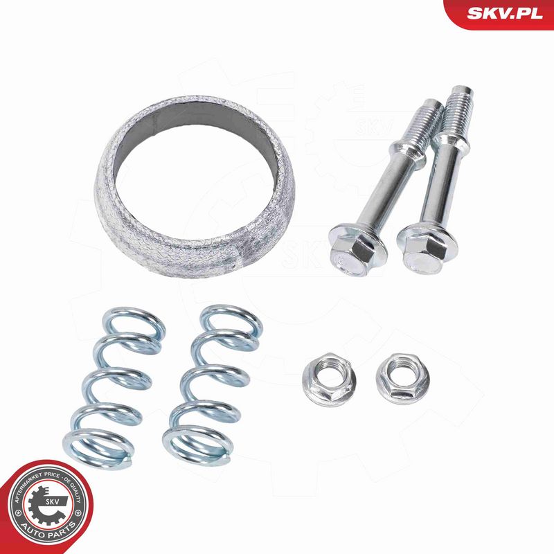 ESEN SKV 62SKV138 Catalytic Converter