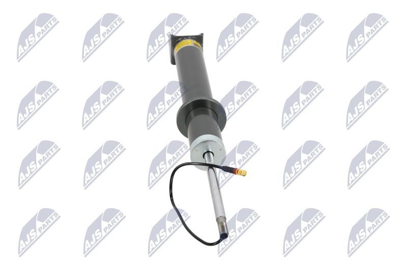 Amort, NTY A-PS-013