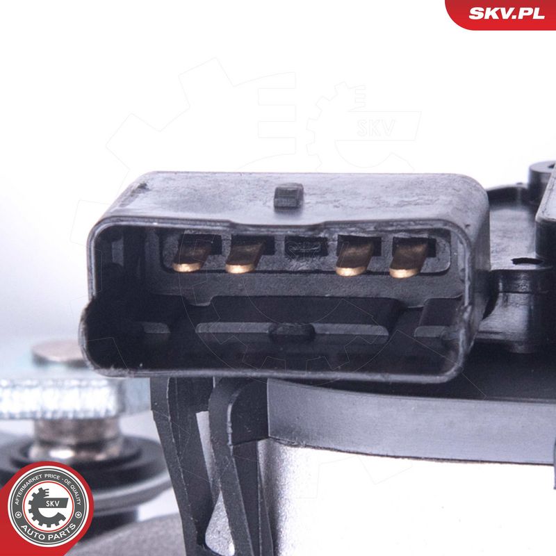 Pesurihoovastik, ESEN SKV 05SKV099