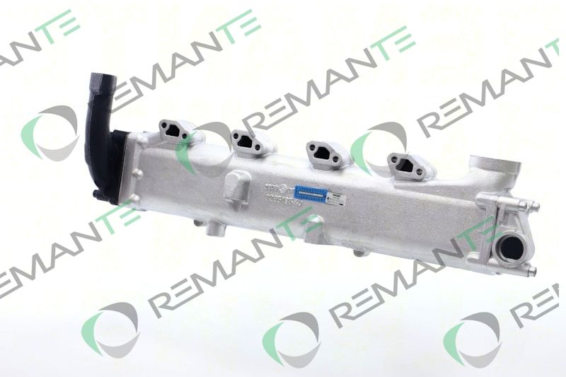 REMANTE 010-001-000004R - EGR Module