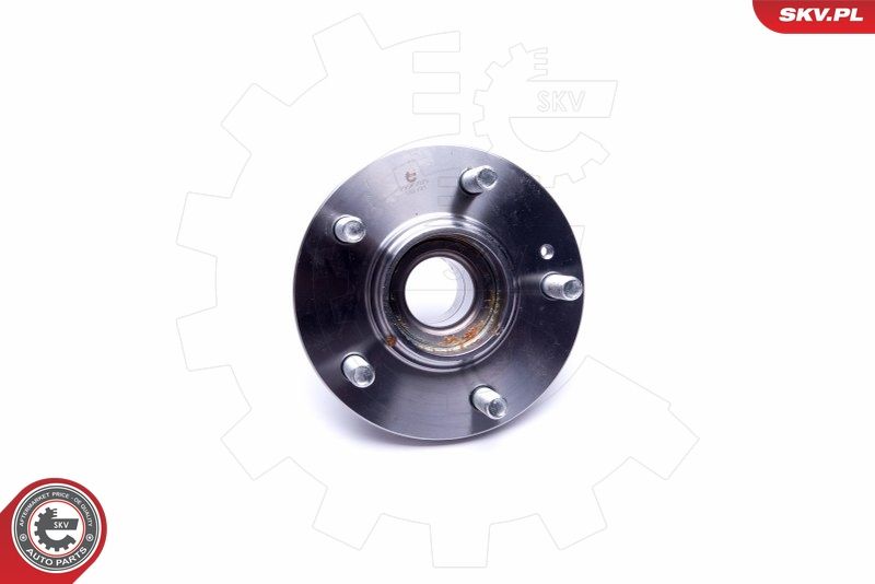 ESEN SKV 29SKV370 Wheel Bearing Kit