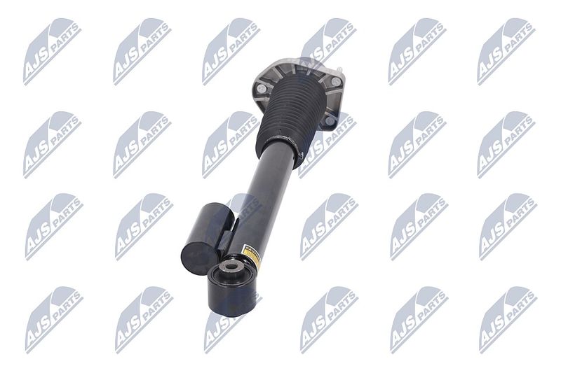 Amort, NTY A-LR-020