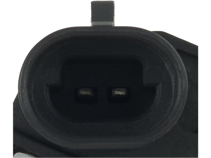 475092.JPG