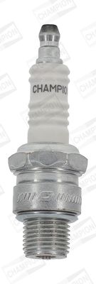 CCH886M_4510901.JPG
