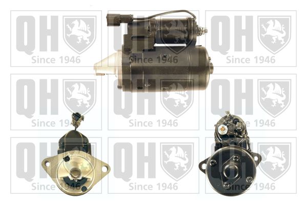 QH_QRS1655_GRUPPE.JPG