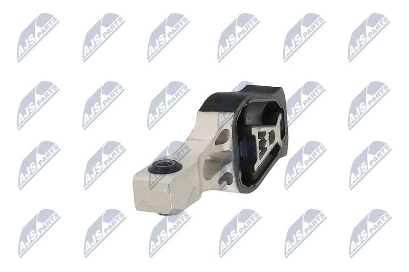 Paigutus, Mootor, NTY ZPS-PE-022