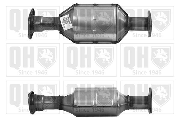 QH_QCAT90550H.JPG