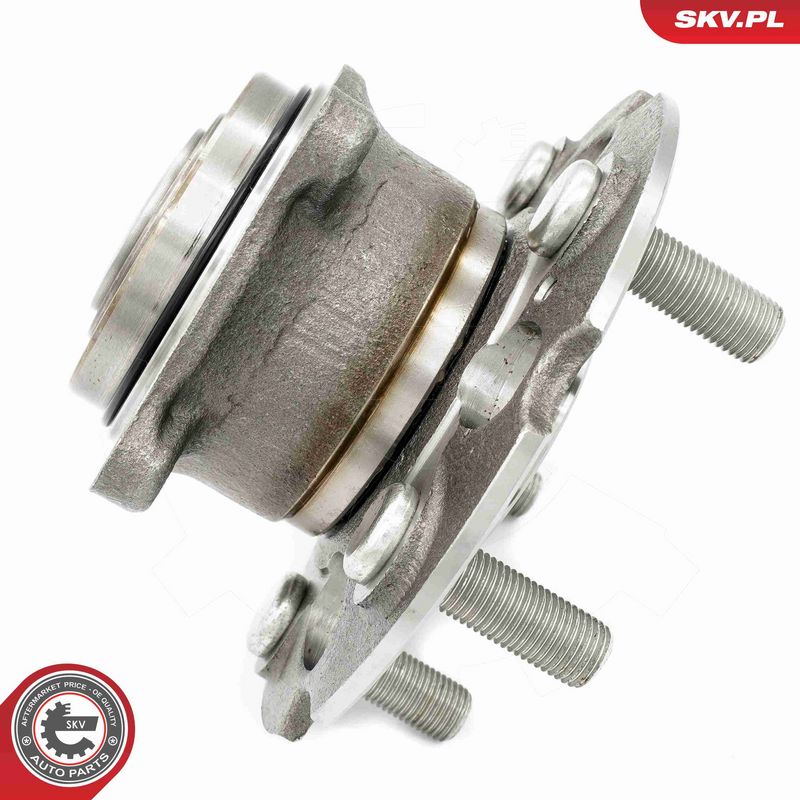 ESEN SKV 29SKV605 Wheel Bearing Kit