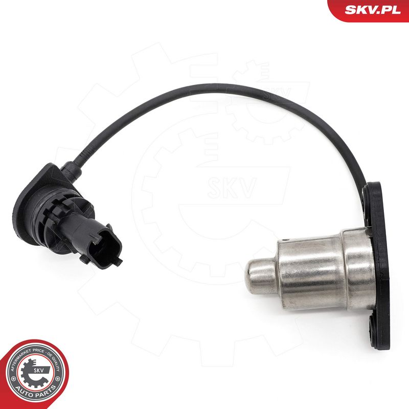 Andur, Mootoriõlitase, ESEN...