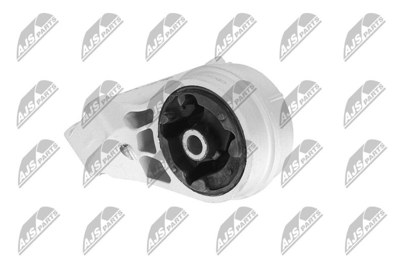 Paigutus, Mootor, NTY ZPS-CH-148