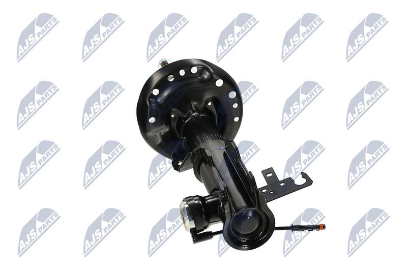 Amort, NTY A-PL-062