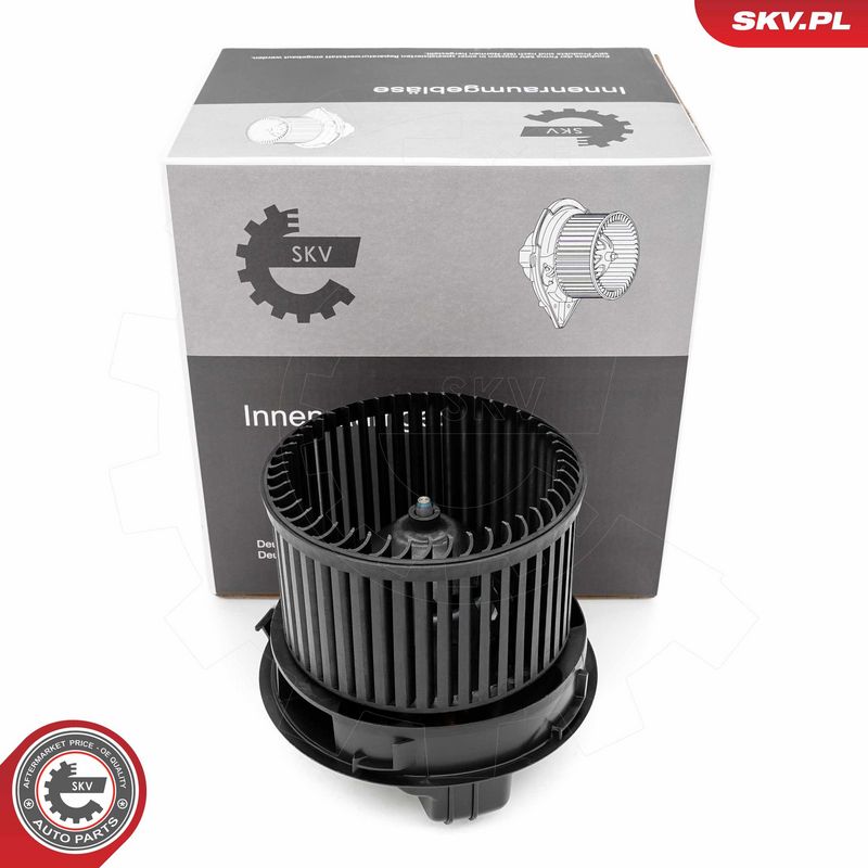 Salongipuhur, ESEN SKV...