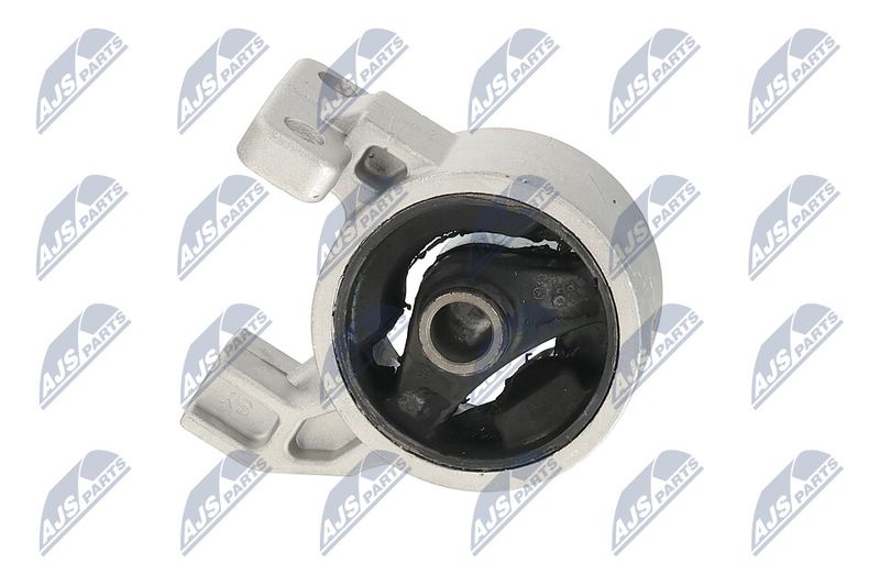 Paigutus, Mootor, NTY ZPS-KA-318