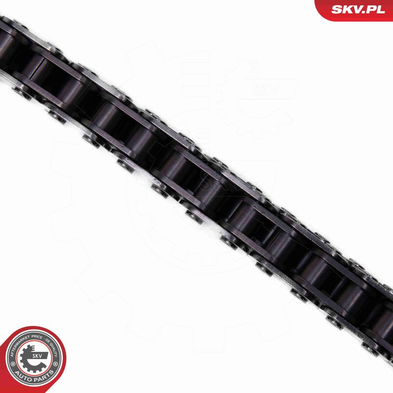 ESEN SKV 21SKV269 Timing Chain Kit