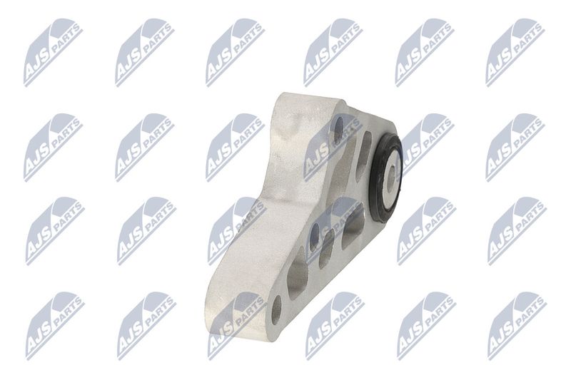 Paigutus, Mootor, NTY ZPS-CH-119