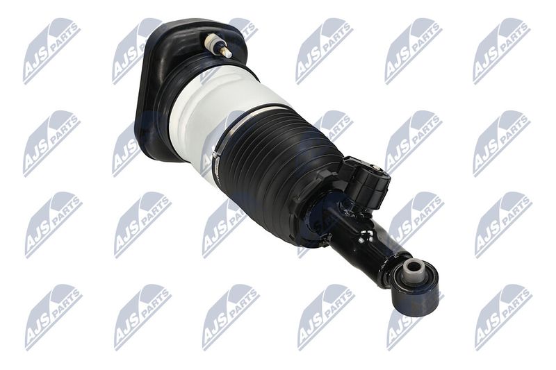 Amort, NTY A-BM-101