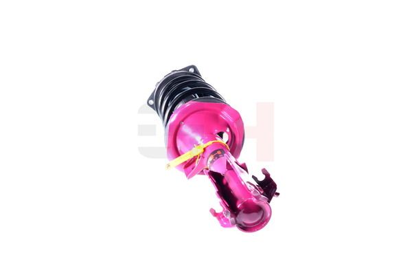 Vedruamort, GH GH-352298C01