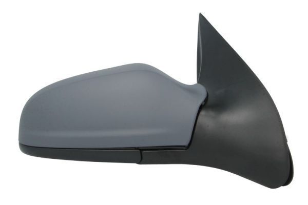 BLIC 5402-04-1139236P Exterior Mirror