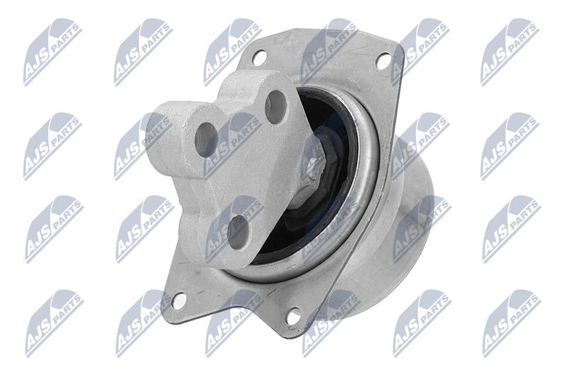 Paigutus, Mootor, NTY ZPS-PL-025