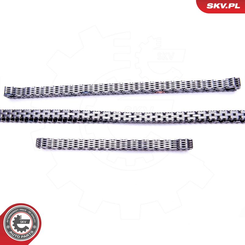 Mootori keti komplekt, ESEN SKV 21SKV139
